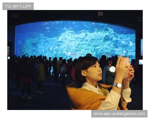 儿童观赛区增设斯诺克模拟游戏,寓教于乐培养下一代 儿童观赛区增设斯诺克模拟游戏,寓教于乐培养下一代